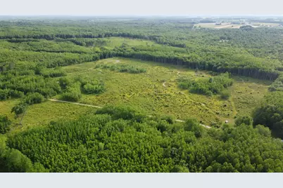 E Freesoil Road #40 acres, Free Soil, MI 49411 - Photo 9