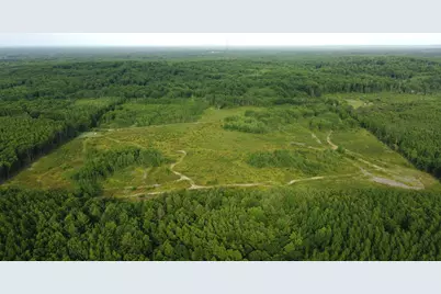 E Freesoil Road #40 acres, Free Soil, MI 49411 - Photo 17