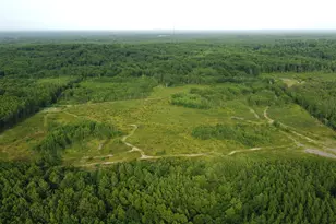 E Freesoil Rd, Free Soil, MI 49411 - Photo 17