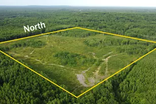 E Freesoil Rd, Free Soil, MI 49411 - Photo 7