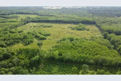 E Freesoil Road #40 acres, Free Soil, MI 49411 - Photo 11