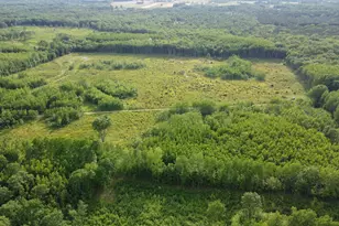 E Freesoil Rd, Free Soil, MI 49411 - Photo 11