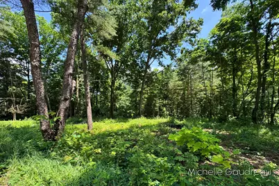 Vl W Irving Road, Hastings, MI 49058 - Photo 3