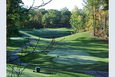 6797 Beechnut Court, Canadian Lakes, MI 49346 - Photo 49