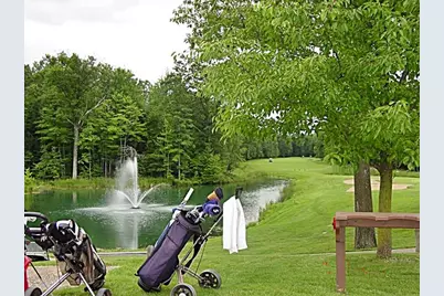 6797 Beechnut Court, Canadian Lakes, MI 49346 - Photo 35