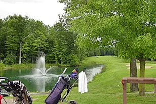 6797 Beechnut Ct, Canadian Lakes, MI 49346 - Photo 35