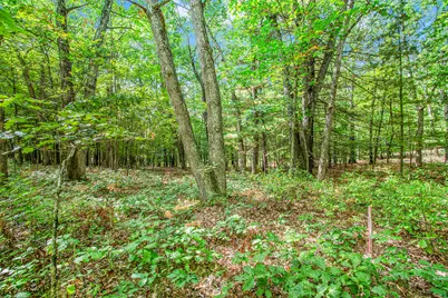 9425 Benjamin Drive, Newaygo, MI 49337 - Photo 11