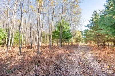 00 48 Rd, Cadillac, MI 49601 - Photo 1