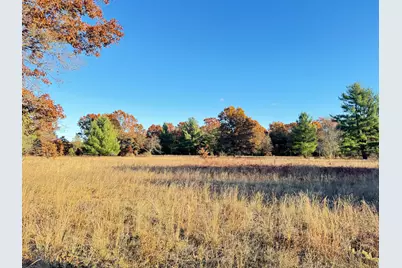 10.01Ac Barberry Avenue, Newaygo, MI 49337 - Photo 1