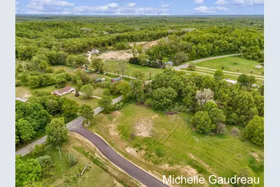 Parcel 1 Leaf Lane, Freeport, MI 49325 - Photo 1