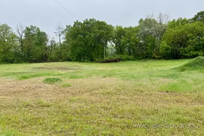 Parcel 1 Leaf Lane, Freeport, MI 49325 - Photo 5