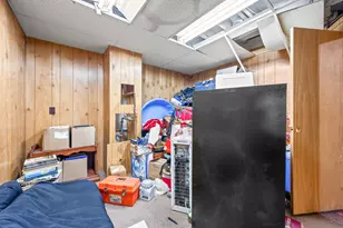 117 S Warren Ave, Big Rapids, MI 49307 - Photo 57