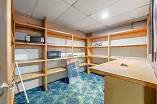 117 S Warren Ave, Big Rapids, MI 49307 - Photo 61