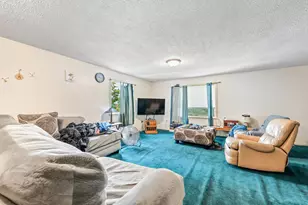 117 S Warren Ave, Big Rapids, MI 49307 - Photo 37