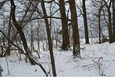 1574 M63, Benton Harbor, MI 49022 - Photo 29