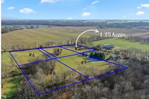 Parcel 2 Kingston Rd, Ionia, MI 48846 - Photo 1