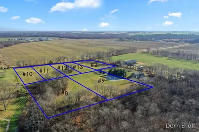 Parcel 9 Kingston Road, Ionia, MI 48846 - Photo 3
