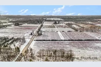 11525 Fillmore Street, West Olive, MI 49460 - Photo 9