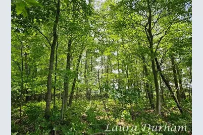 11525 Fillmore Street, West Olive, MI 49460 - Photo 23