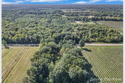 11525 Fillmore Street, West Olive, MI 49460 - Photo 29