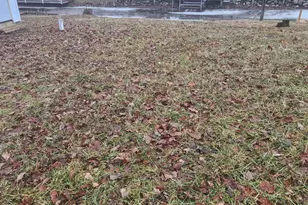 242 Bickford Dr, Coldwater, MI 49036 - Photo 5