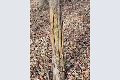 V/L E L Avenue, Kalamazoo, MI 49048 - Photo 3