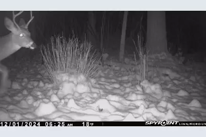 V/L E L Avenue, Kalamazoo, MI 49048 - Photo 13