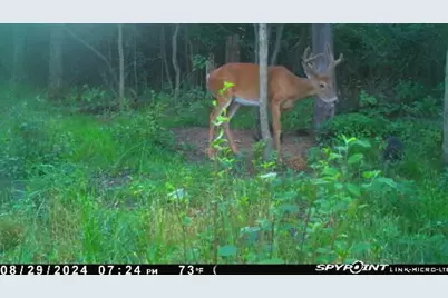 V/L E L Avenue, Kalamazoo, MI 49048 - Photo 7