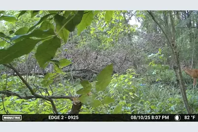 V/L E L Avenue, Kalamazoo, MI 49048 - Photo 15