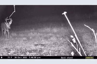 V/L E L Avenue, Kalamazoo, MI 49048 - Photo 11