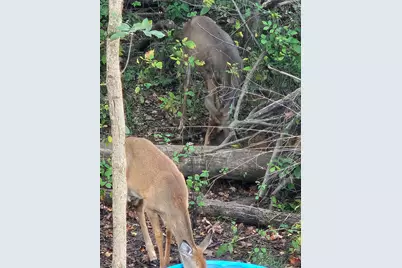 V/L E L Avenue, Kalamazoo, MI 49048 - Photo 5