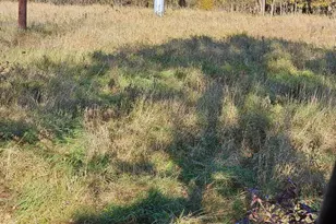 V/L E L Ave, Kalamazoo, MI 49048 - Photo 1