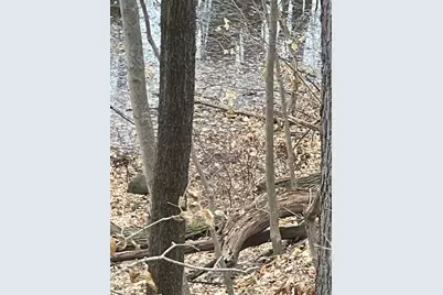 0 Wilson Street, Coloma, MI 49038 - Photo 5