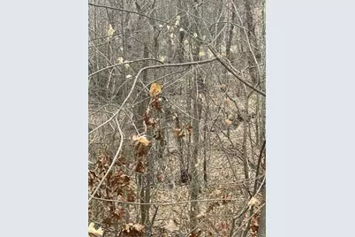 0 Wilson Street, Coloma, MI 49038 - Photo 3