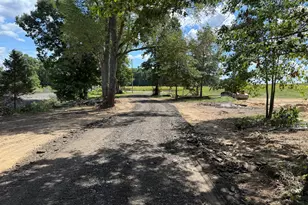 5555 128th Ave, Fennville, MI 49408 - Photo 1