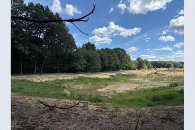 5555 128th Avenue, Fennville, MI 49408 - Photo 3