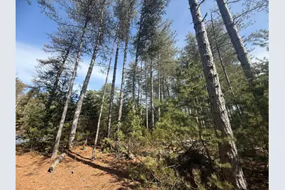 V/L W Pine Acres Trail, Hart, MI 49420 - Photo 9