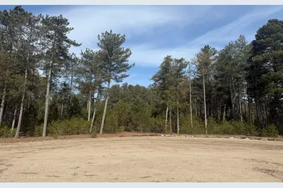 V/L W Pine Acres Trail, Hart, MI 49420 - Photo 1
