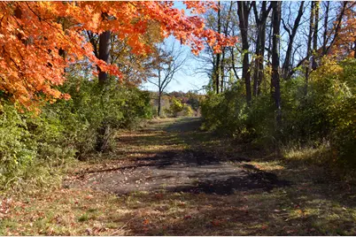 6255 Maple Dale Road, Jackson, MI 49201 - Photo 3