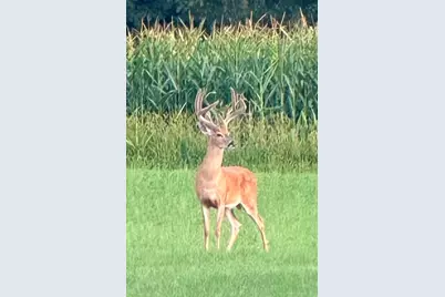 2122 Grange Road, Buchanan, MI 49107 - Photo 101