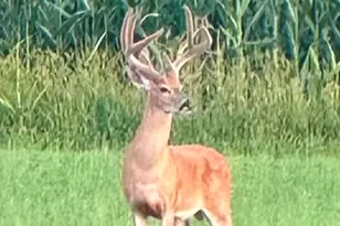 2122 Grange Rd, Buchanan, MI 49107 - Photo 101