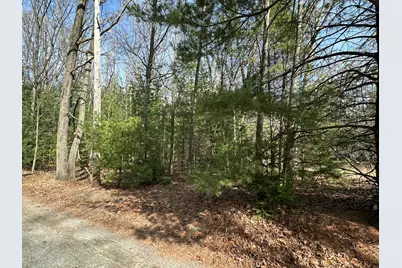 Sands Street - Vacant, Pentwater, MI 49449 - Photo 11