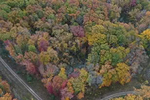 Meadowood Ln, Lakeside, MI 49116 - Photo 1