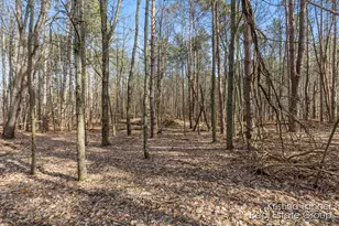 742 Honey Creek, Ada, MI 49301 - Photo 45