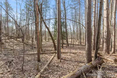 742 Honey Creek, Ada, MI 49301 - Photo 43