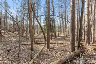 742 Honey Creek, Ada, MI 49301 - Photo 43