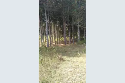 Vl Tyler Hills Drive #Unit 12, Traverse City, MI 49685 - Photo 7