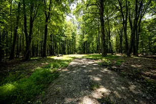 0 Youngren Rd, Harbert, MI 49115 - Photo 1
