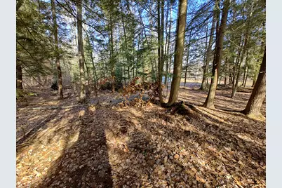 Vl W Lake Mitchell Drive, Cadillac, MI 49601 - Photo 7