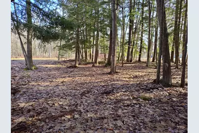 Vl W Lake Mitchell Drive, Cadillac, MI 49601 - Photo 9